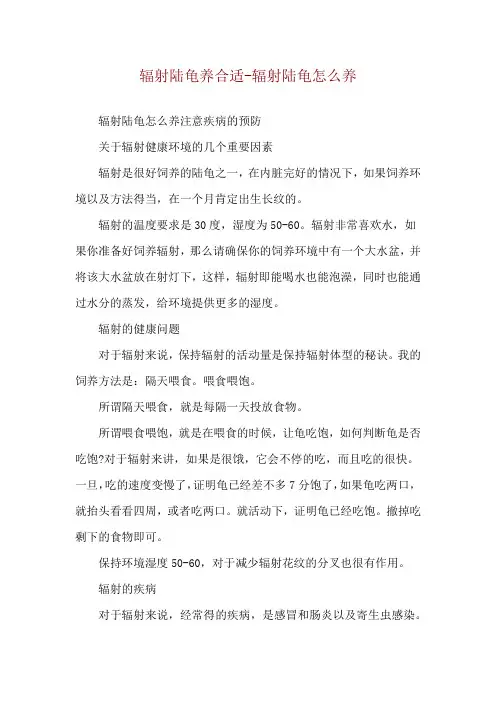 辐射陆龟养合适-辐射陆龟怎么养