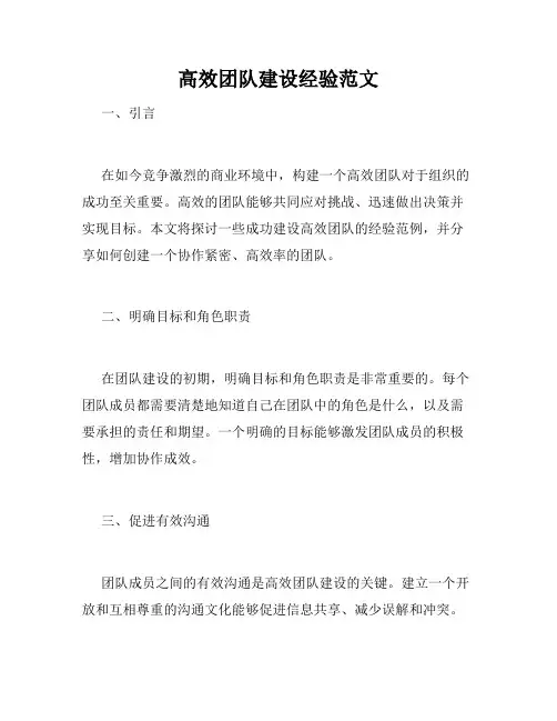 高效团队建设经验范文