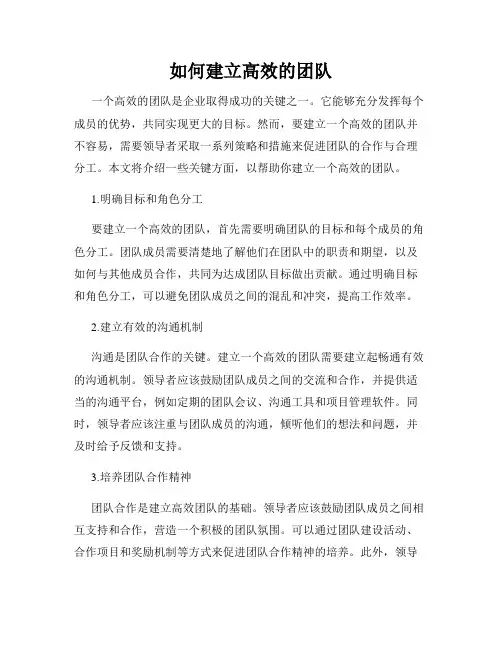 如何建立高效的团队