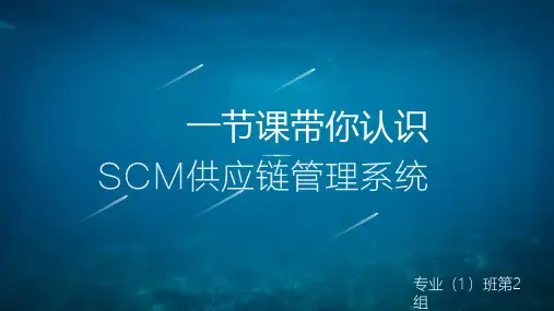 SCM供应链管理系统课件(PPT 47页)