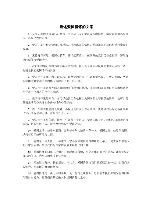 描述爱国情怀的文案