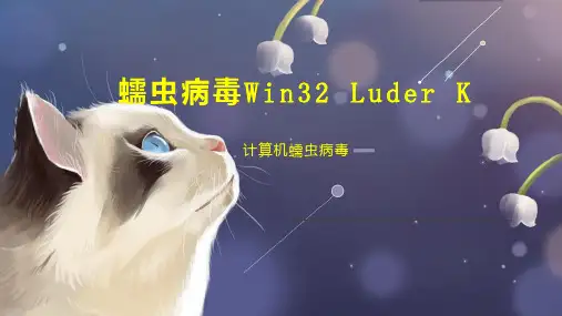 蠕虫病毒Win32 Luder K
