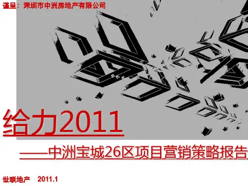 XXXX0916_中洲宝城26区营销策略总纲