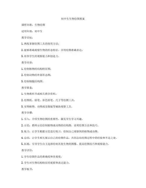 初中生生物绘图教案