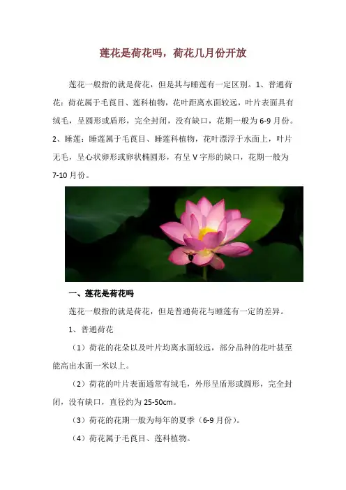 莲花是荷花吗,荷花几月份开放