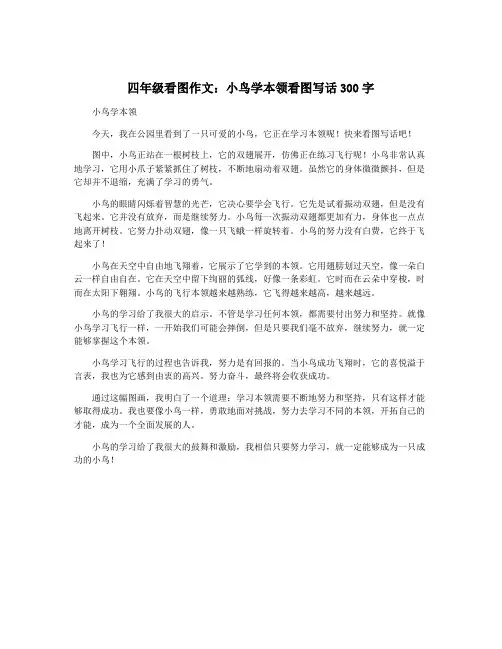 四年级看图作文：小鸟学本领看图写话300字