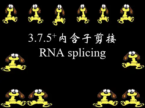 分子生物学-07-4-生物信息的传递-4RNA拼接2-RNA编辑