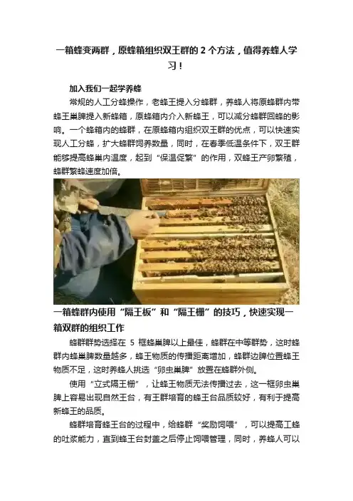 一箱蜂变两群，原蜂箱组织双王群的2个方法，值得养蜂人学习！