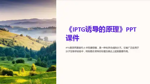 《IPTG诱导的原理》课件