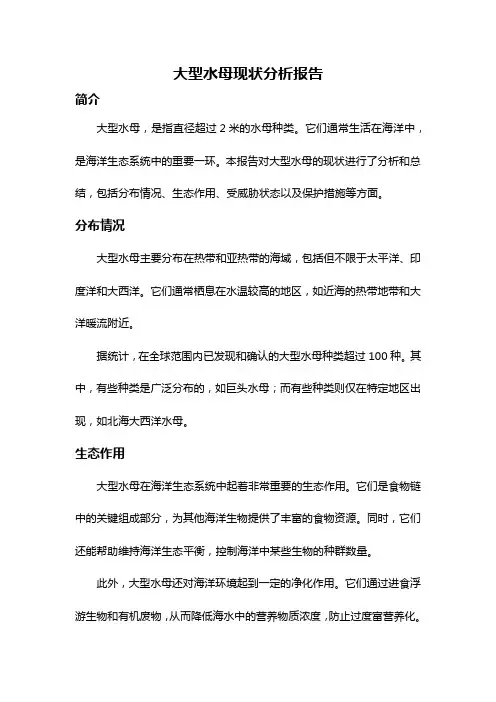 大型水母现状分析报告