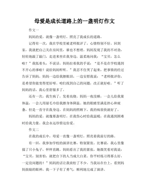 母爱是成长道路上的一盏明灯作文