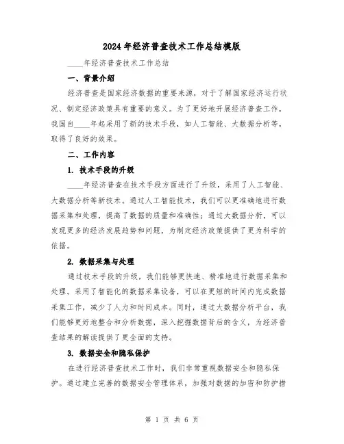 2024年经济普查技术工作总结模版(2篇)