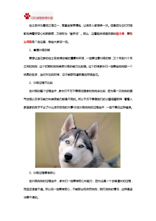 哈士奇怎么训练