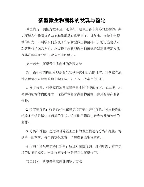新型微生物菌株的发现与鉴定