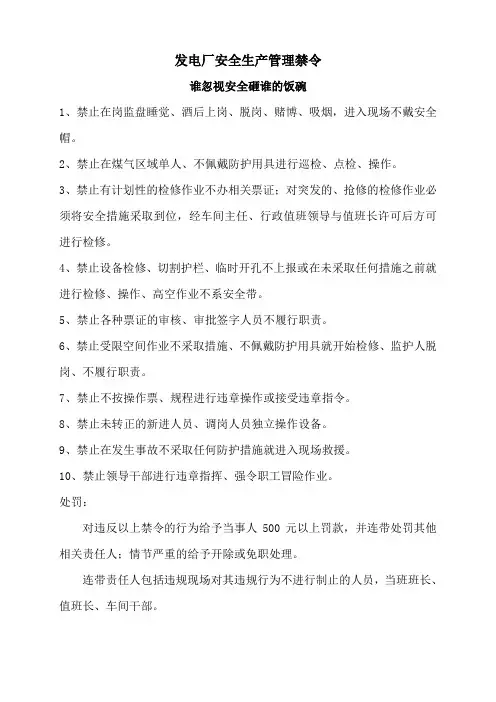 发电厂安全生产管理禁令