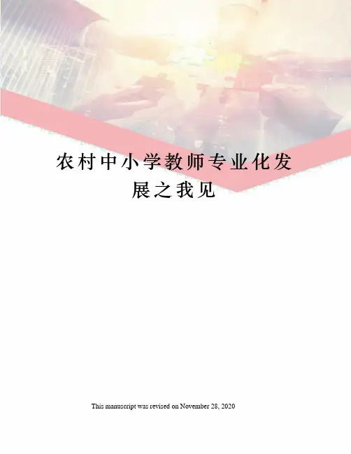 农村中小学教师专业化发展之我见
