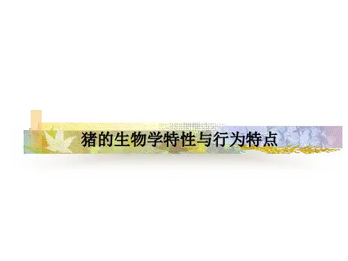 猪的生物学特性与行为特点