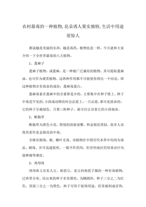 农村最毒的一种植物,花朵诱人果实独特,生活中用途很惊人