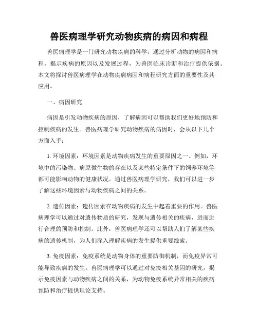 兽医病理学研究动物疾病的病因和病程