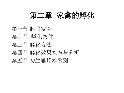 第二章家禽孵化PPT课件