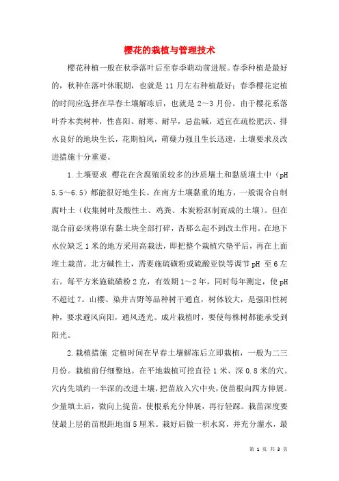樱花的栽植与管理技术