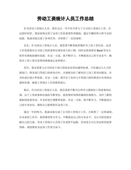 劳动工资统计人员工作总结