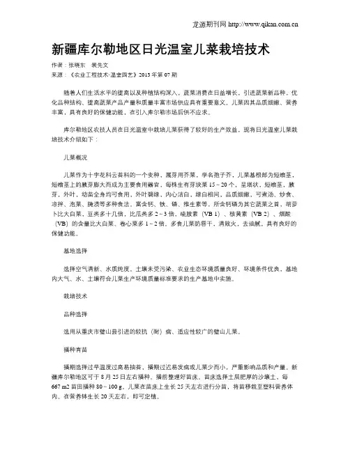 新疆库尔勒地区日光温室儿菜栽培技术