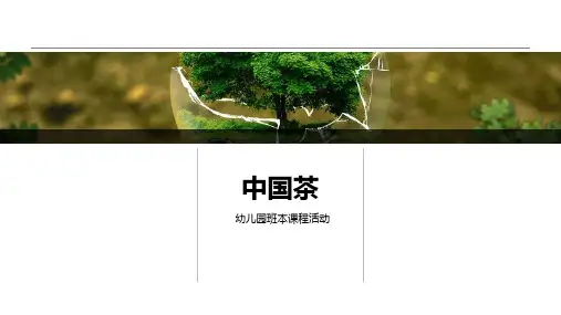 《中国茶》幼儿园班本课程PPT课件