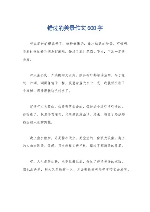 错过的美景作文600字