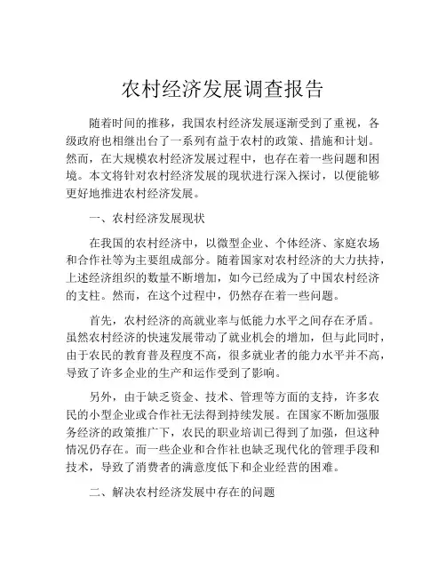 农村经济发展调查报告
