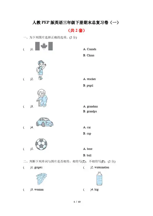 人教PEP版英语三年级下册期末总复习卷及答案(2套)