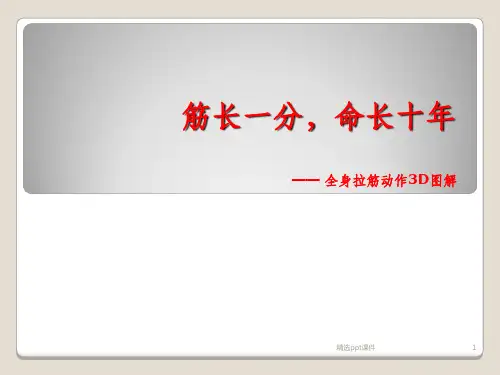 全身拉筋动作3D图解ppt课件