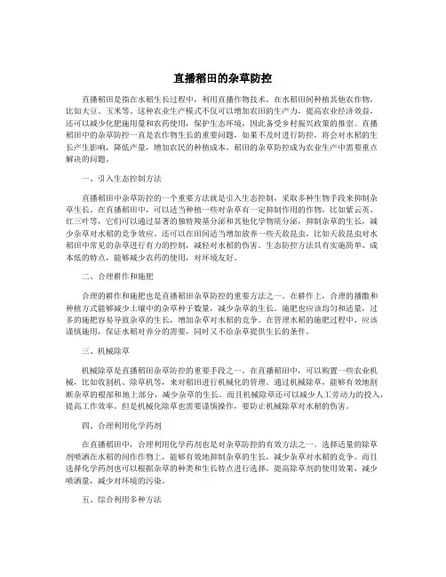 直播稻田的杂草防控
