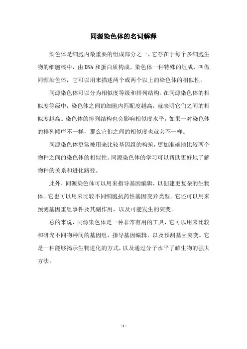 同源染色体的名词解释