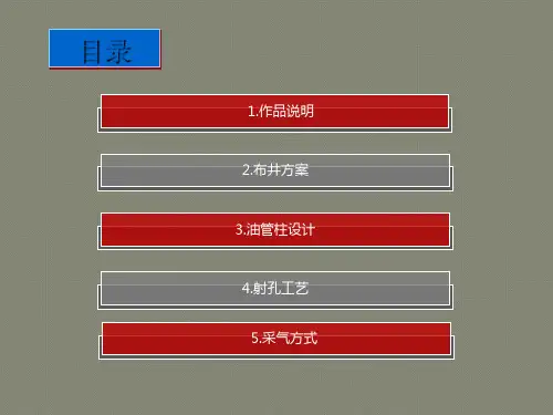 石油工程设计大赛--多分支水平井