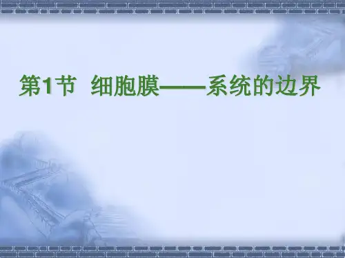 细胞膜--- PPT课件