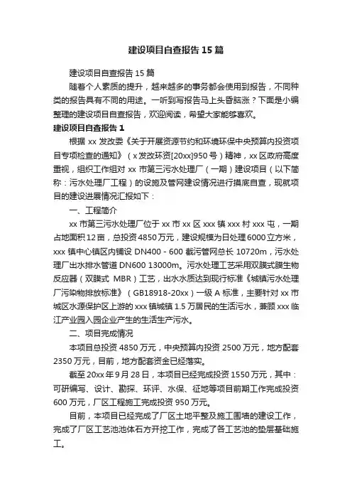 建设项目自查报告15篇