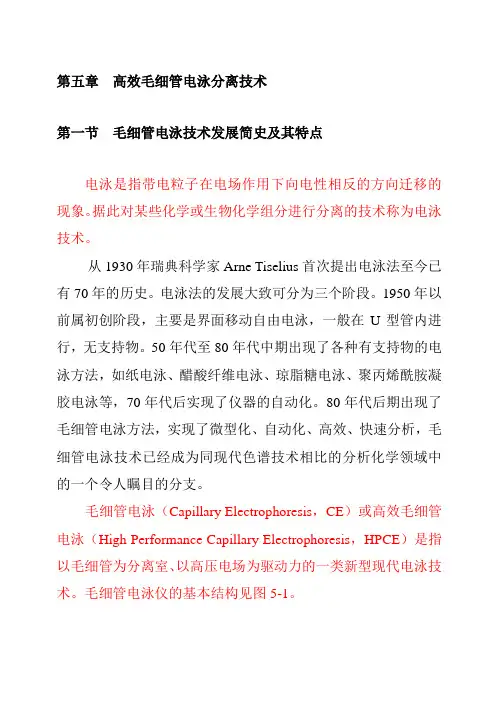第五章 高效毛细管电泳分离技术