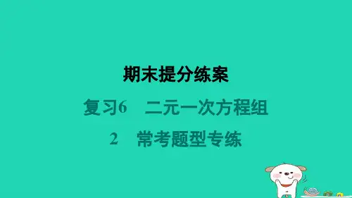 2024八年级数学上册期末复习6二元一次方程组2常考题型专练习题课件新版北师大版