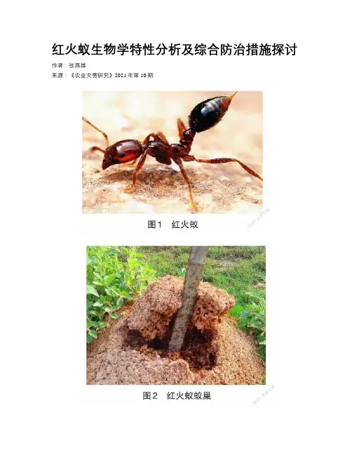 红火蚁生物学特性分析及综合防治措施探讨