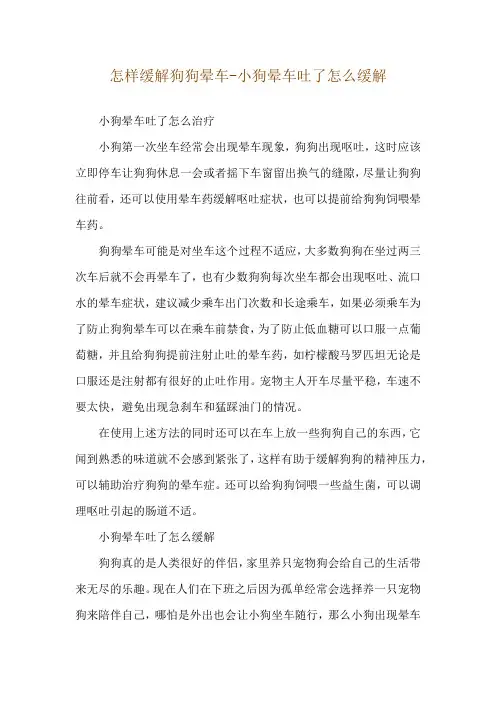 怎样缓解狗狗晕车-小狗晕车吐了怎么缓解