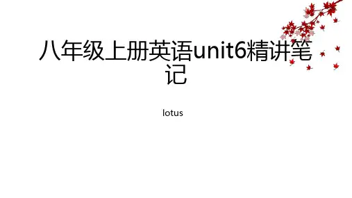 人教版八年级英语上册unit6精讲笔记