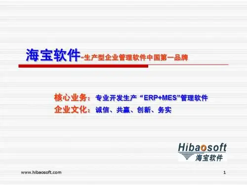 海宝软件简介