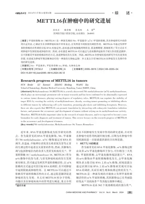 METTL16在肿瘤中的研究进展