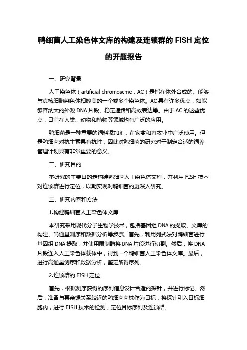 鸭细菌人工染色体文库的构建及连锁群的FISH定位的开题报告