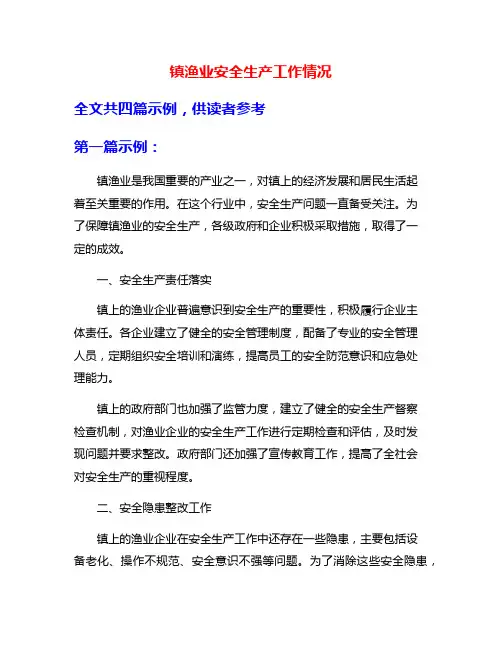 镇渔业安全生产工作情况