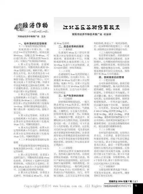 江北茶区茶树修剪技术