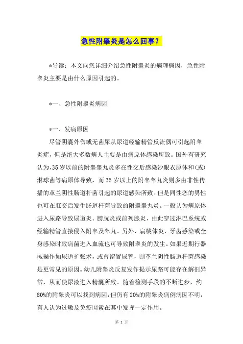 急性附睾炎是怎么回事？