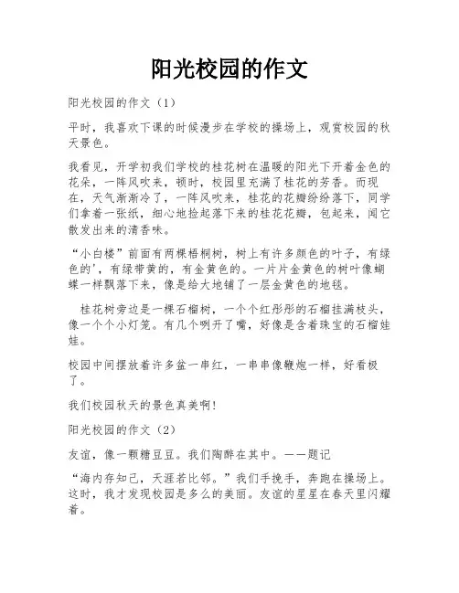 阳光校园的作文