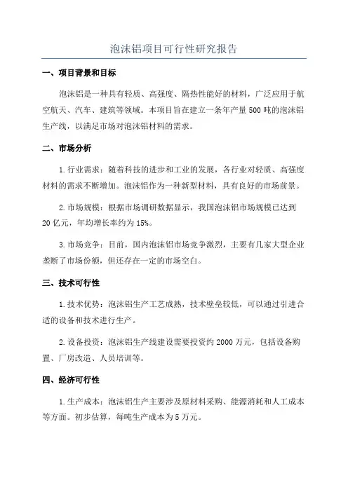 泡沫铝项目可行性研究报告